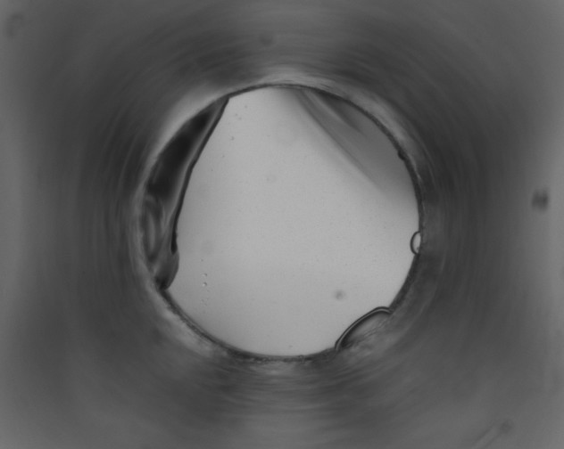 X0000089431048200707131840