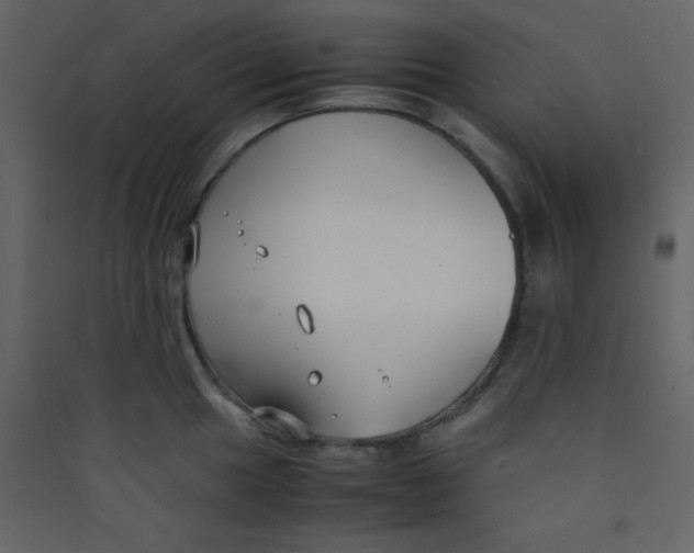 X0000089431049200707131840