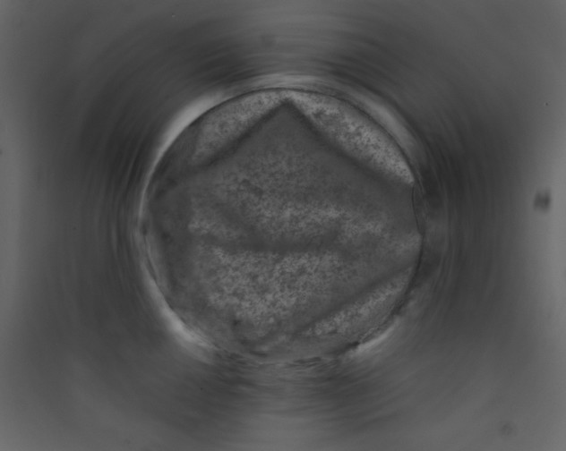 X0000089431050200707131840