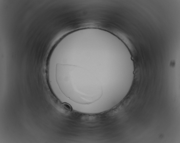 X0000089431051200707131840