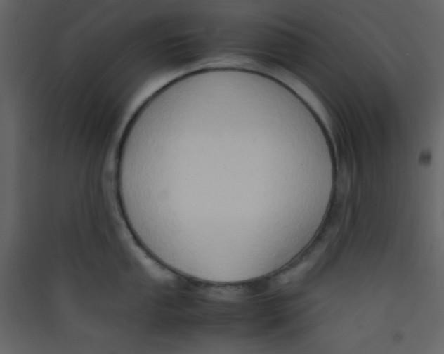 X0000089431053200707131840