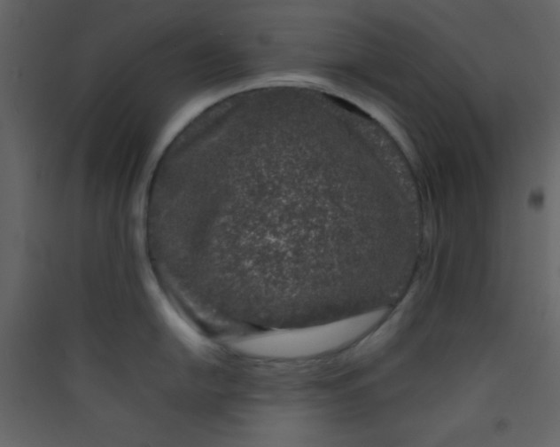 X0000089431054200707131840