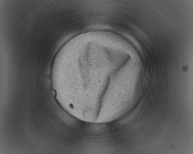 X0000089431055200707131840