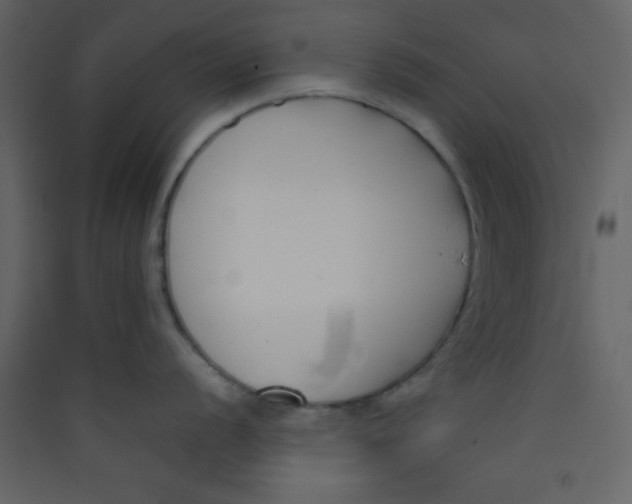 X0000089431056200707131840