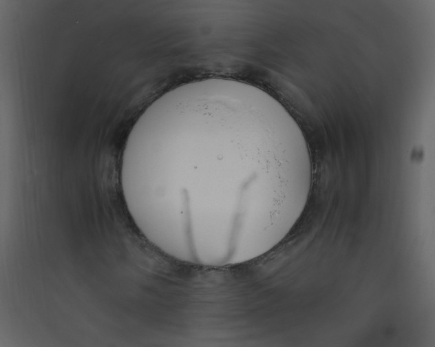 X0000089431058200707131840