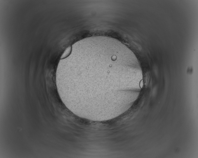 X0000089431059200707131840