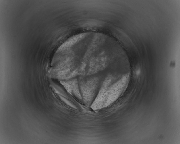 X0000089431060200707131839