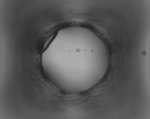 X0000089431061200707131839