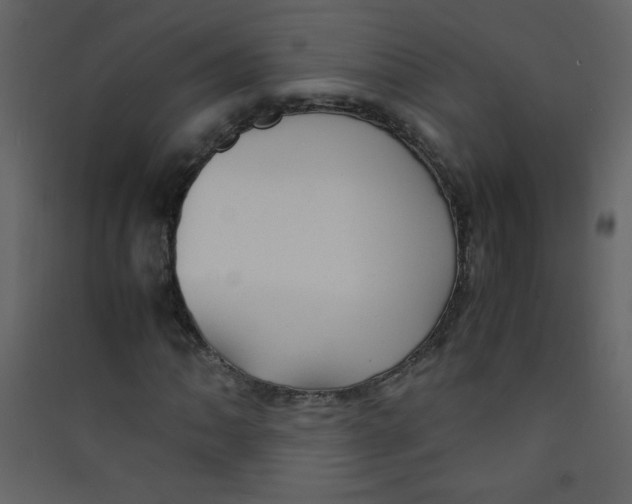 X0000089431062200707131839