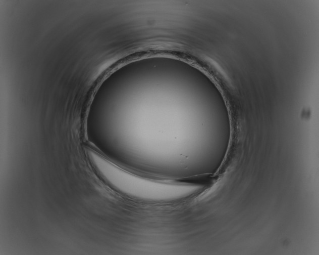 X0000089431065200707131839