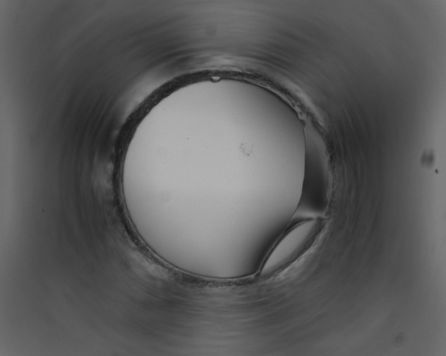 X0000089431066200707131839