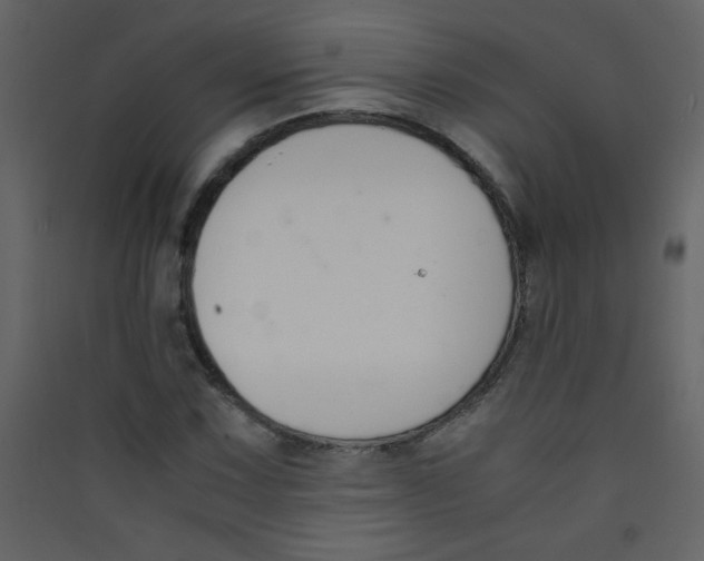 X0000089431067200707131839