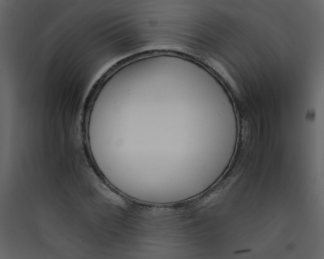 X0000089431068200707131839