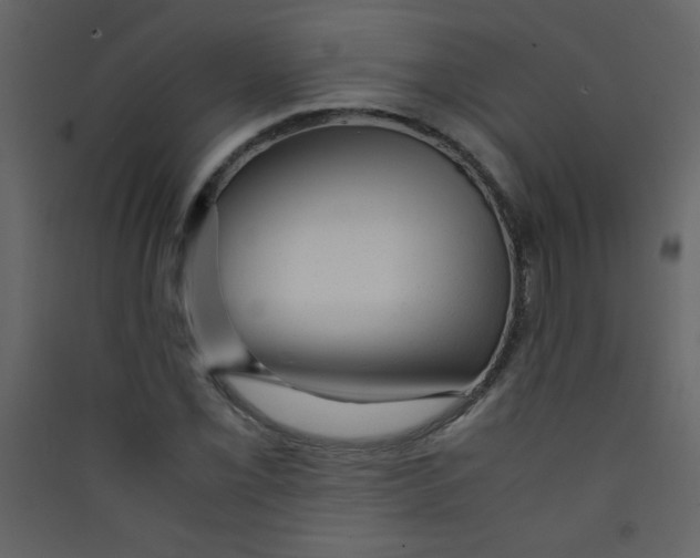 X0000089431069200707131839