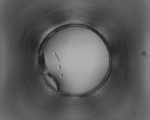 X0000089431070200707131839