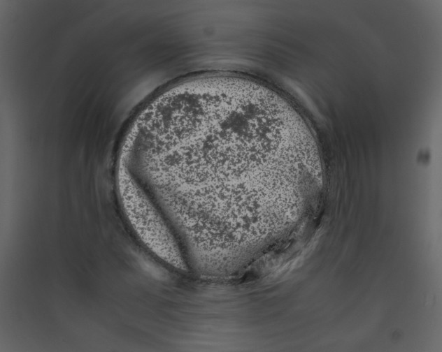 X0000089431071200707131839