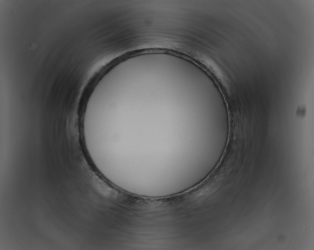 X0000089431072200707131839