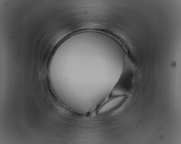 X0000089431073200707131839