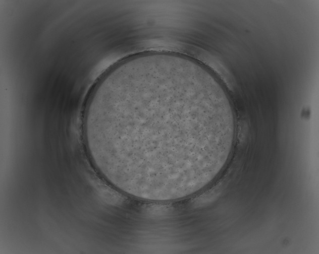 X0000089431074200707131839