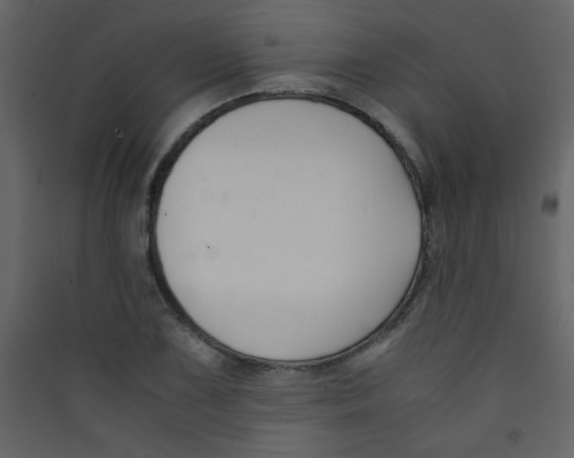 X0000089431075200707131839