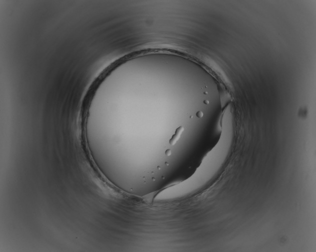 X0000089431076200707131839