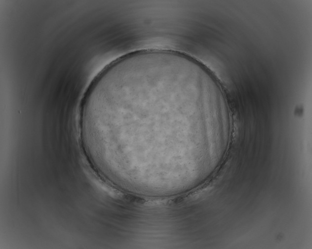 X0000089431078200707131839