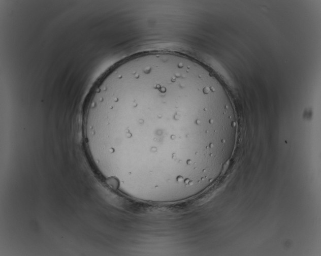 X0000089431079200707131839