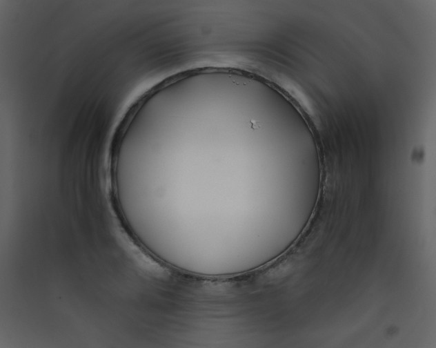 X0000089431080200707131839