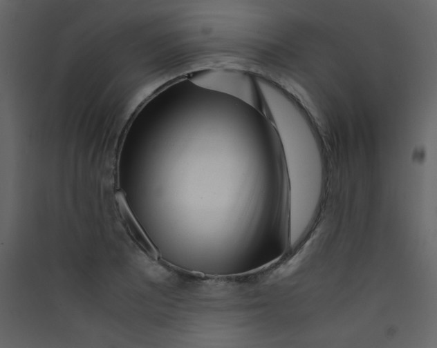 X0000089431081200707131839