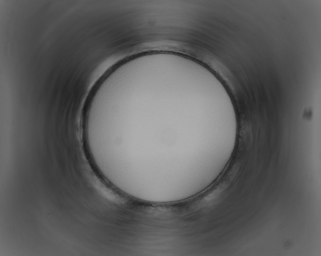 X0000089431082200707131839