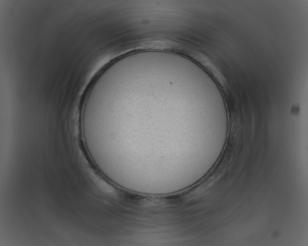 X0000089431083200707131839