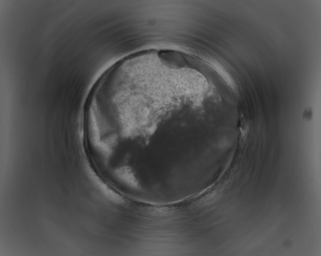 X0000089431084200707131839