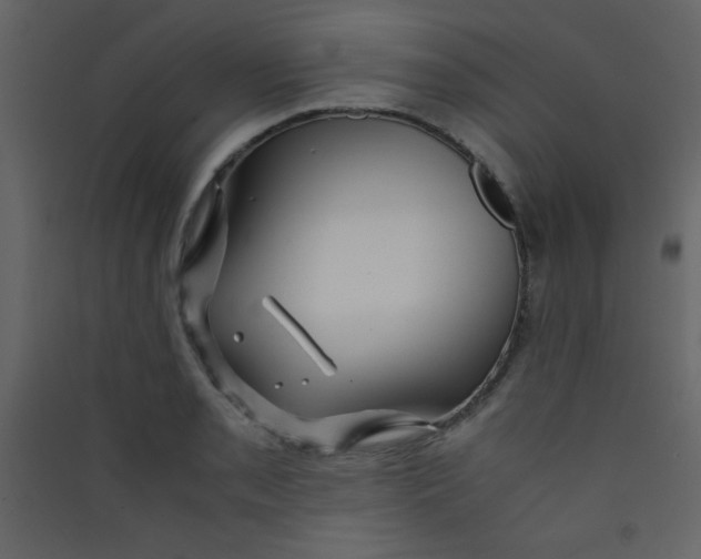 X0000089431085200707131839