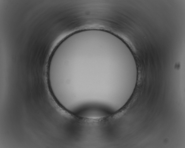 X0000089431086200707131839