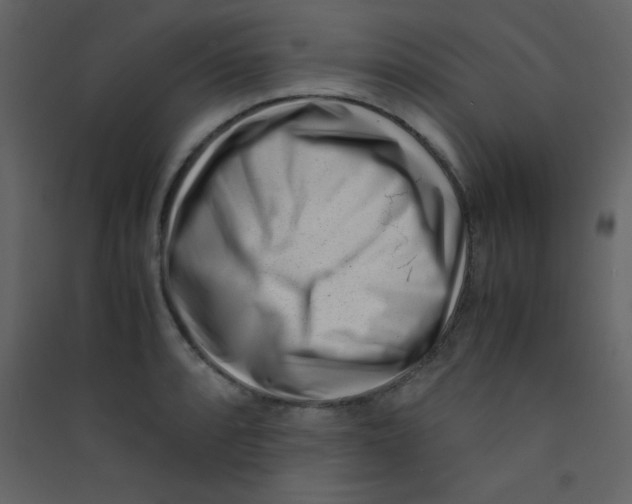 X0000089431088200707131839