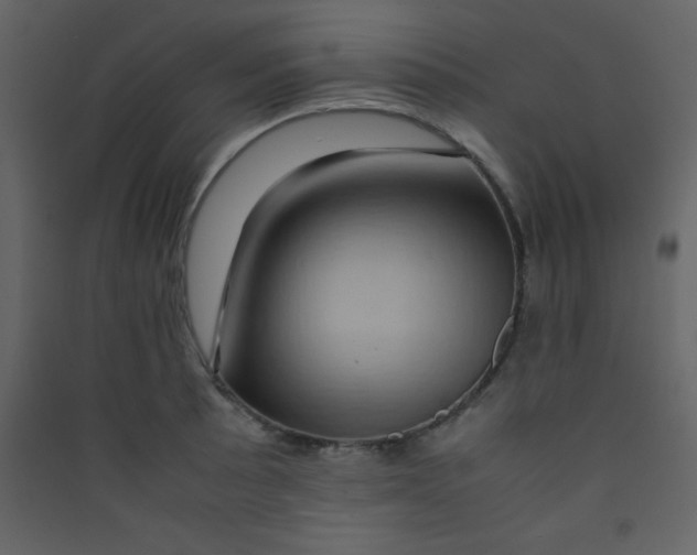 X0000089431089200707131839