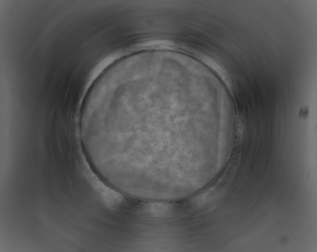 X0000089431090200707131839