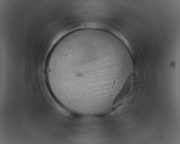 X0000089431091200707131839