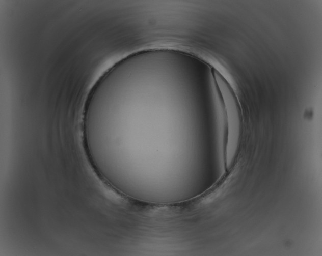 X0000089431093200707131839