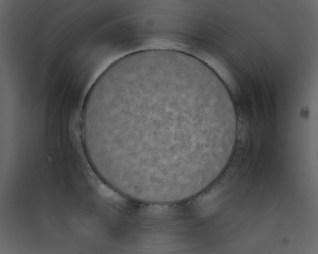 X0000089431094200707131839