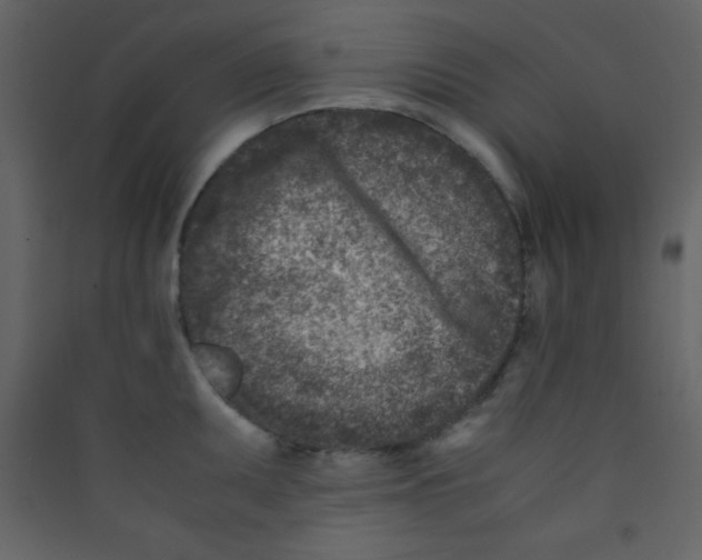 X0000089431095200707131839