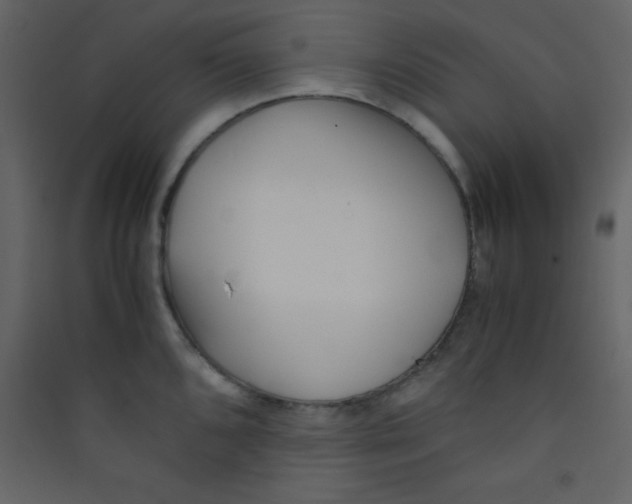 X0000089431096200707131839