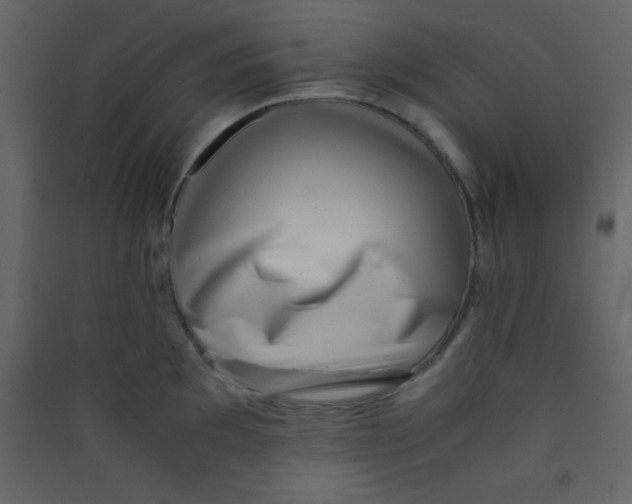 X0000089431097200707131839