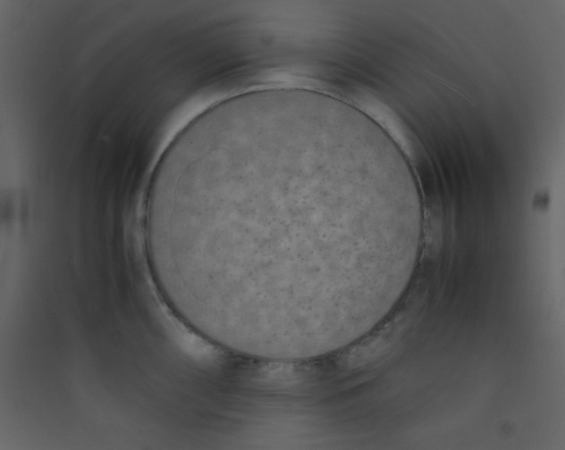 X0000089431098200707131839