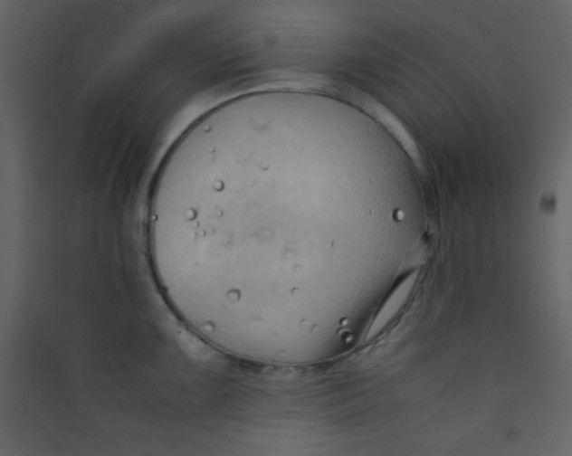 X0000089431099200707131839