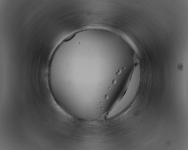 X0000089431100200707131839