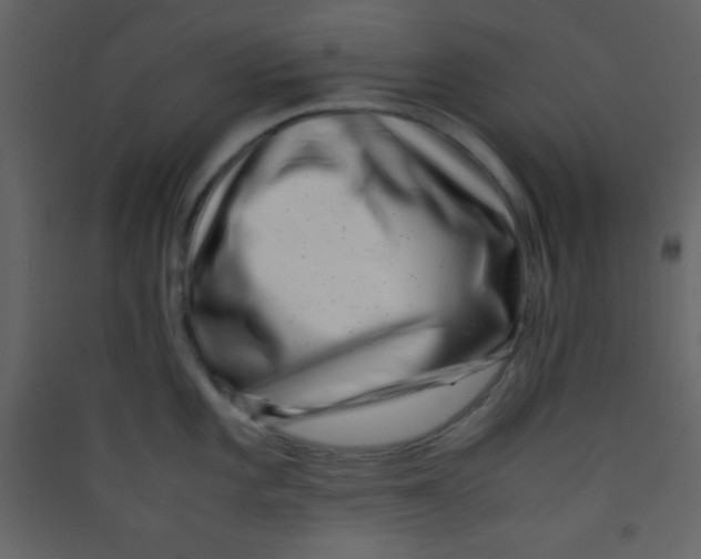 X0000089431101200707131839