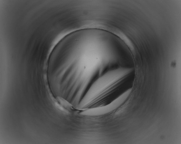 X0000089431102200707131839