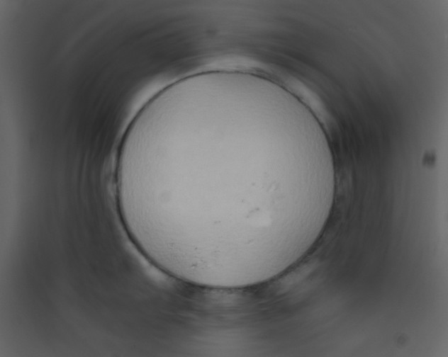 X0000089431103200707131839