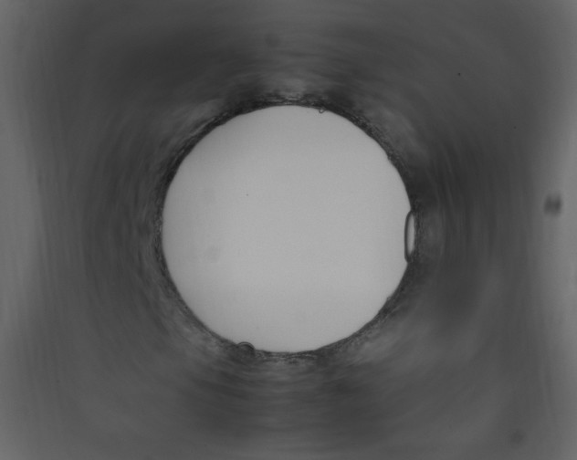 X0000089431105200707131838